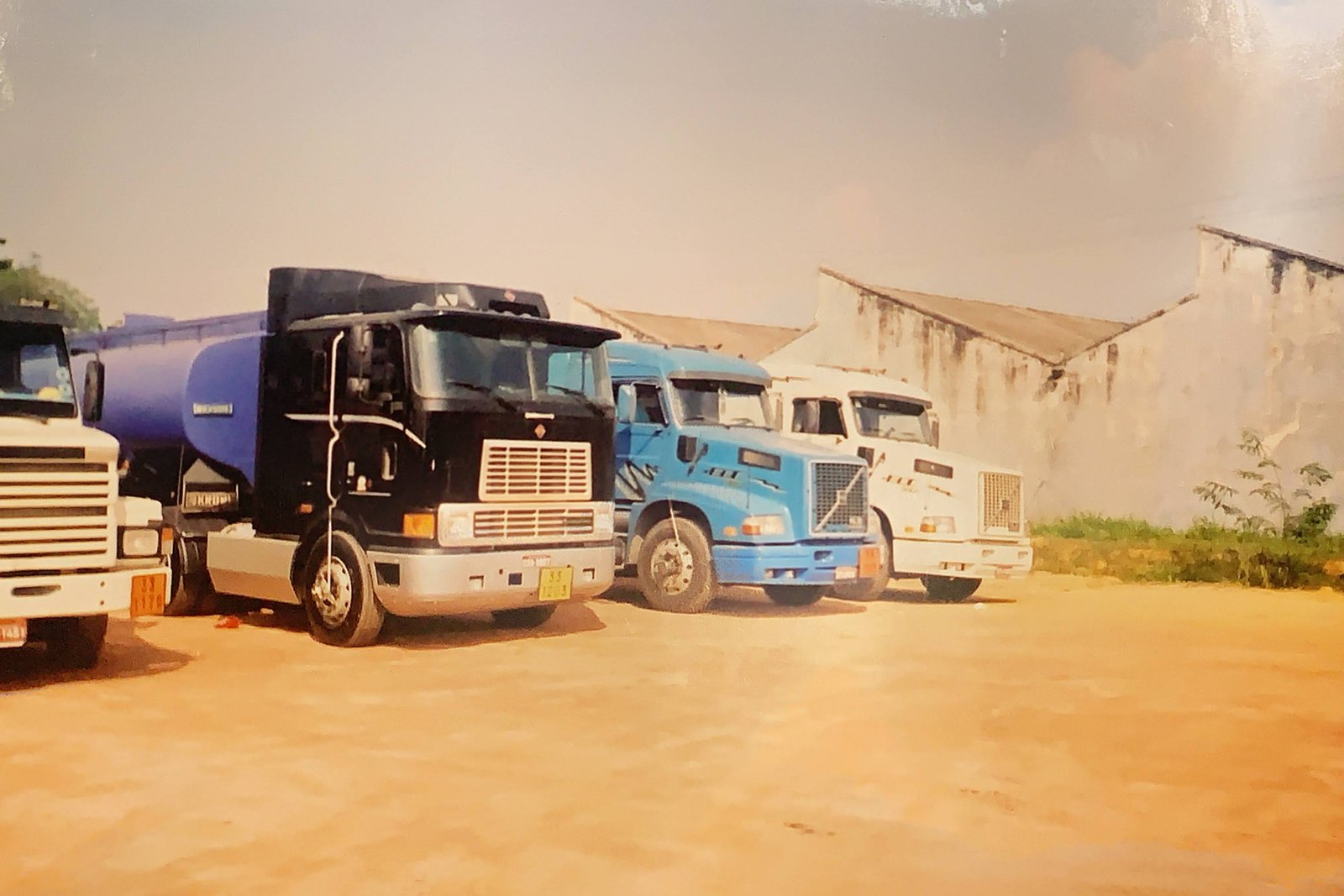 Serviços Transdelfina